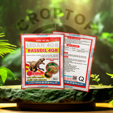 LEDAN 4GR - BASUDIL 4GR
