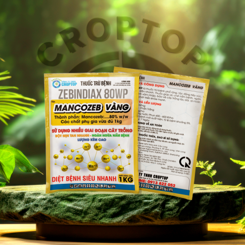 Zebindiax 80WP - MANCOZEB VÀNG 